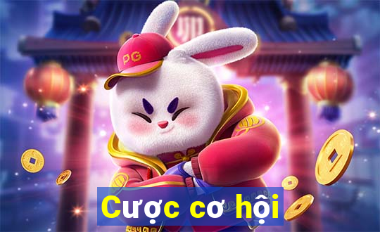 Cược cơ hội