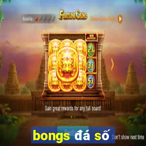 bongs đá số