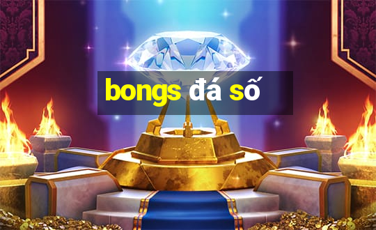 bongs đá số