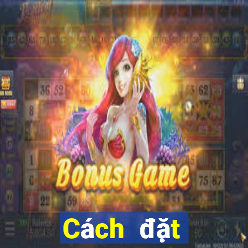 Cách đặt cược XSQNA ngày 12