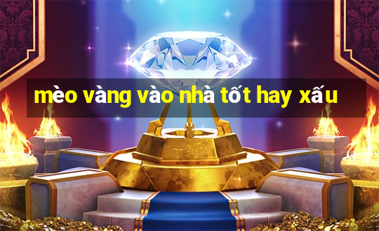 mèo vàng vào nhà tốt hay xấu