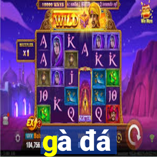 gà đá