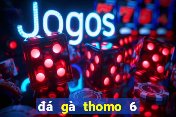 đá gà thomo 6 11 23