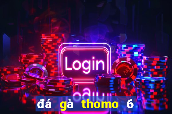 đá gà thomo 6 11 23