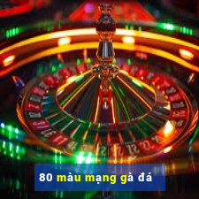 80 màu mạng gà đá