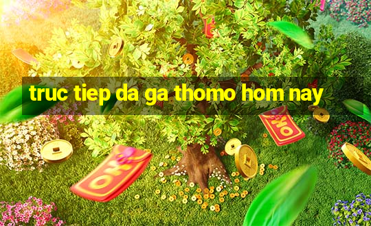 truc tiep da ga thomo hom nay