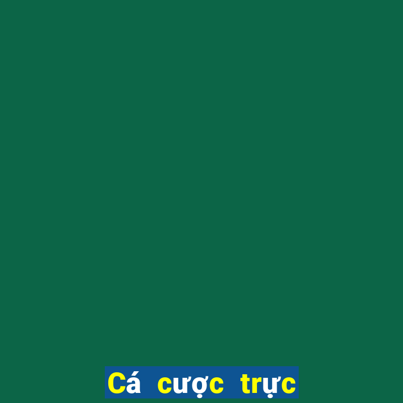 Cá cược trực tuyến 333666