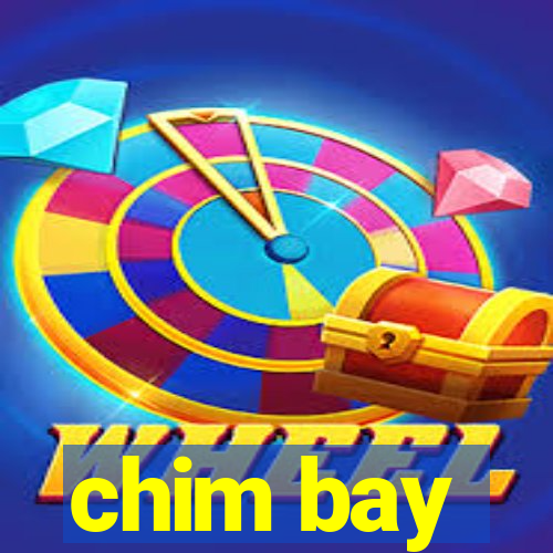 chim bay