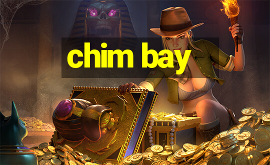 chim bay