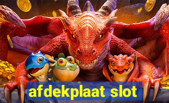 afdekplaat slot