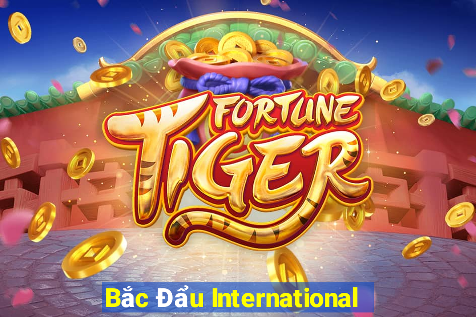 Bắc Đẩu International