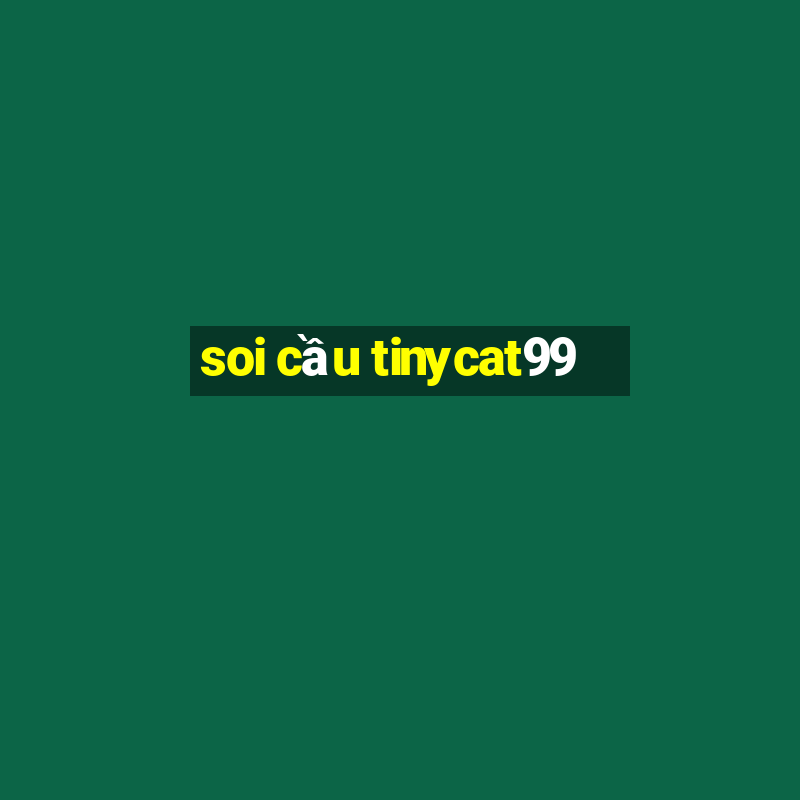 soi cầu tinycat99