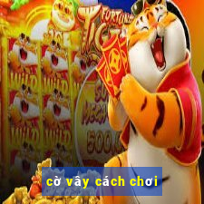 cờ vây cách chơi