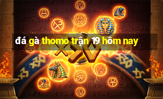 đá gà thomo trận 19 hôm nay