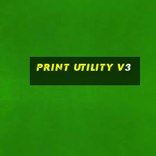 print utility v3