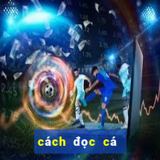 cách đọc cá độ bóng đá