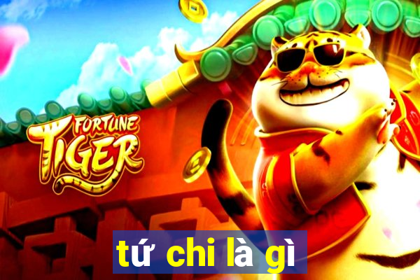 tứ chi là gì