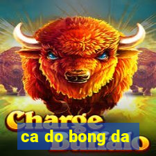 ca do bong da