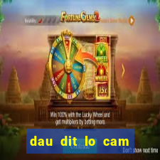 dau dit lo cam danh con gi