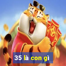 35 là con gì