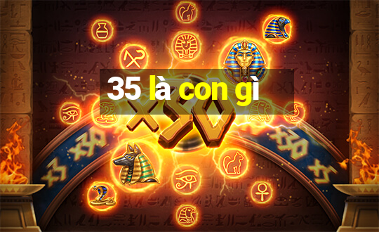 35 là con gì