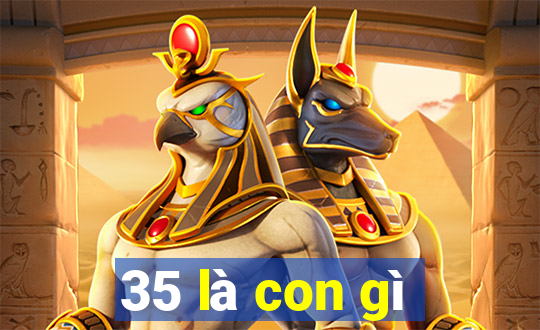 35 là con gì