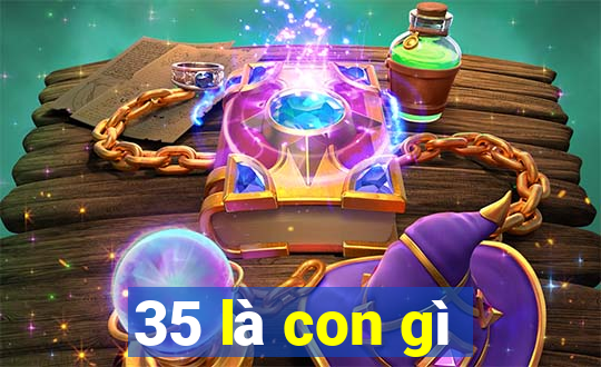 35 là con gì