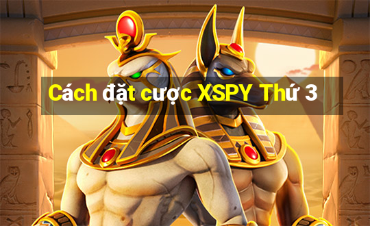 Cách đặt cược XSPY Thứ 3