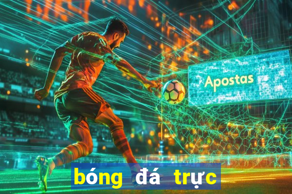 bóng đá trực tiếp aff cup