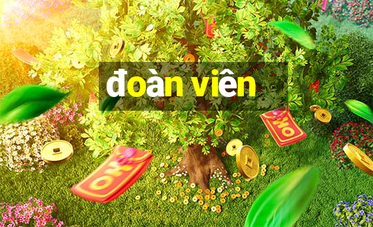 đoàn viên