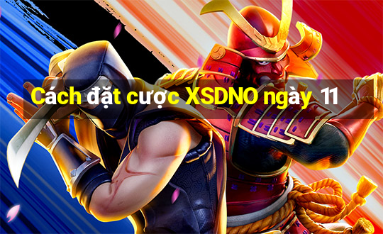 Cách đặt cược XSDNO ngày 11