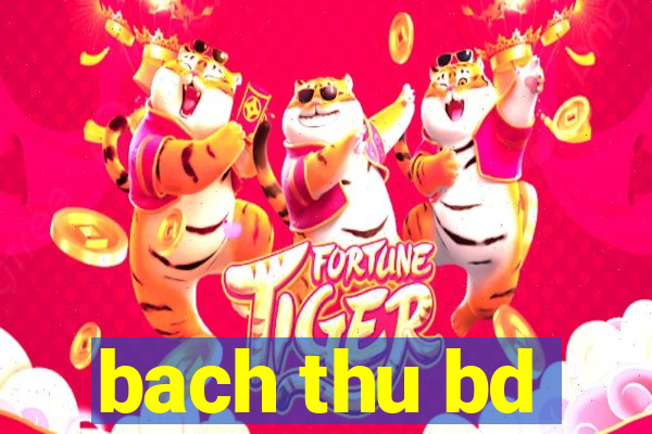 bach thu bd