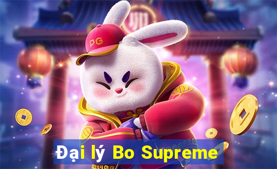 Đại lý Bo Supreme