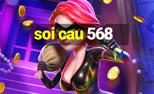 soi cau 568