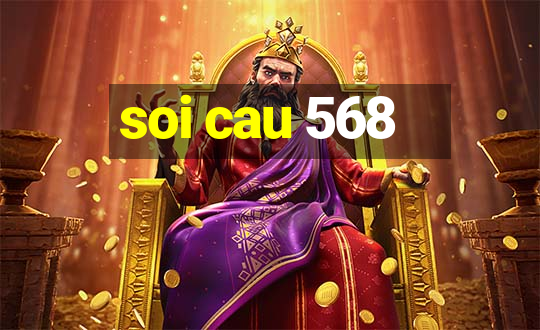 soi cau 568