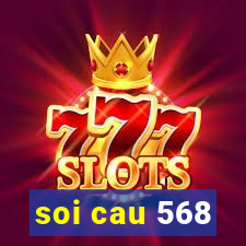 soi cau 568