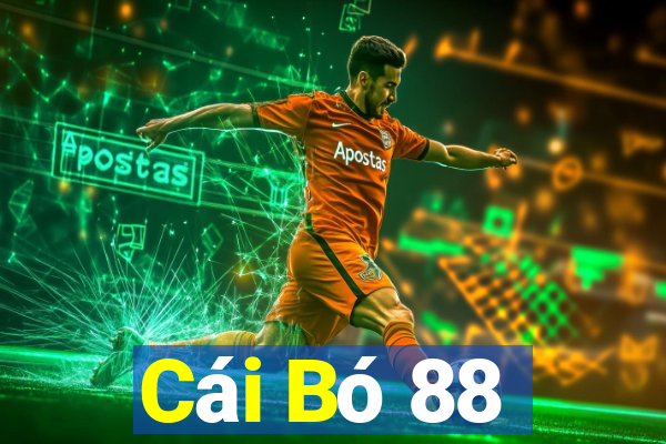 Cái Bó 88