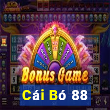 Cái Bó 88