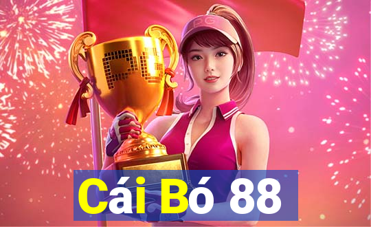 Cái Bó 88