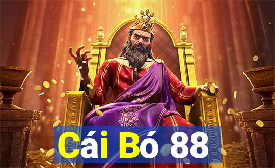 Cái Bó 88