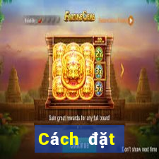 Cách đặt cược XSCT ngày 11