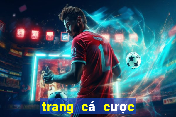 trang cá cược bóng đá akucher