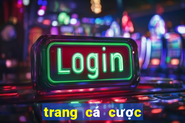 trang cá cược bóng đá akucher