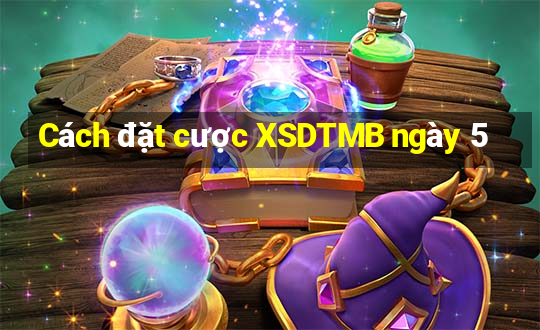 Cách đặt cược XSDTMB ngày 5