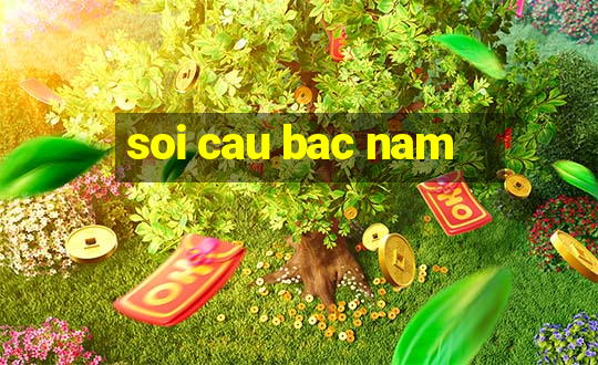 soi cau bac nam