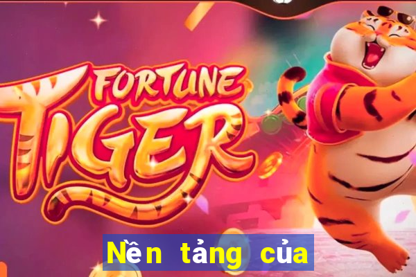 Nền tảng của người Aonice