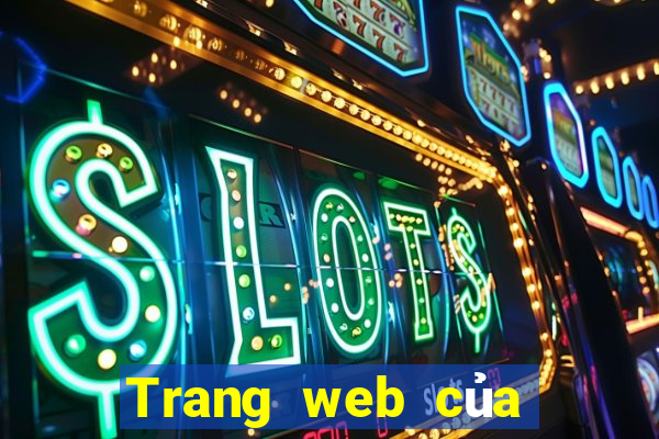 Trang web của 100 Court