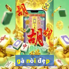 gà nòi đẹp