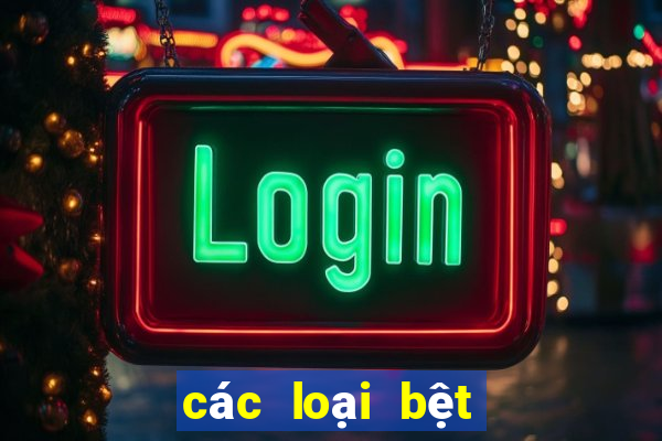 các loại bệt vệ sinh