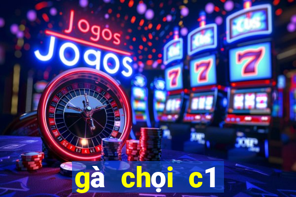 gà chọi c1 đỉnh cao